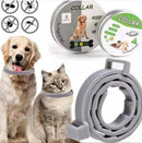 collar antipulgas para perros y gatos Tendeli Ecuador collar gris ajustable con envase y accesorios antiparasitos