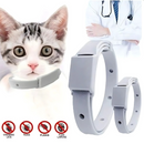 Gato con collar antipulgas para perros y gatos Tendeli Ecuador gris mostrando protección contra pulgas y garrapatas