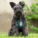 Dropea Antiparásitos por Ultrasonidos Recargable para Mascotas PetRep InnovaGoods de Dropea en